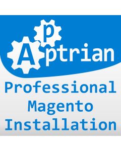 Professional Magento Installation